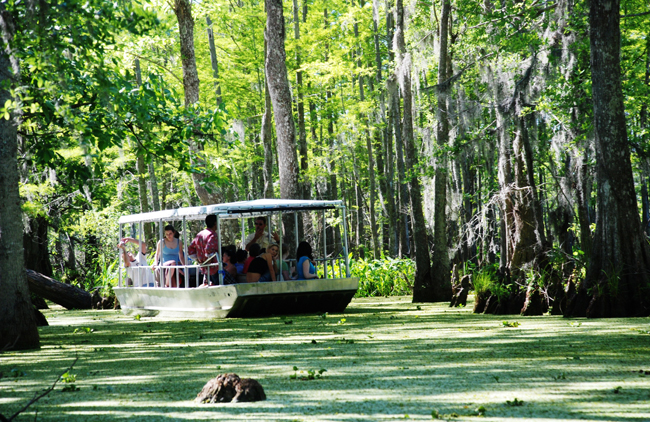 Explore the pristine Honey Island Swamp by tour boat.  Photo courtesy LouisianaNorthshore.com