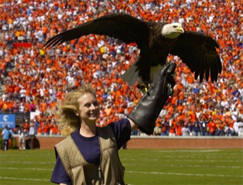 Auburn University eagle, Indy, takes flight in Philadelphia Eagles game