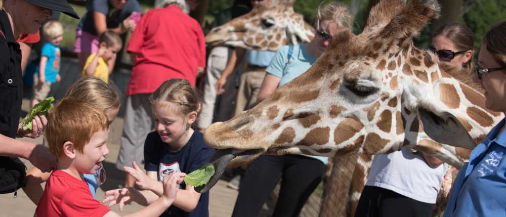 Creature Features at Zoos and Aquariums - Welcome To Small Market Meetings!