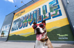 Greetings from Knoxville Mural, courtesy Visit Knoxville