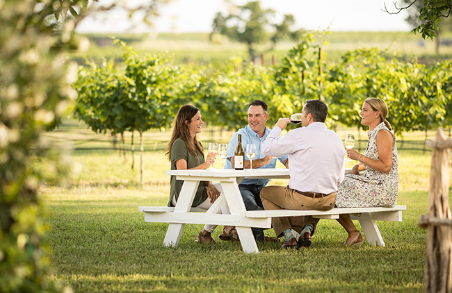 Texas Wine Country at Signor Vineyards, by Jason Risner