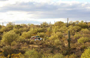 Embark on an exhilarating off-road adventure through Tucson's rugged terrain on an unforgettable Jeep tour.