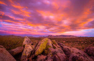 Nature's breathtaking canvas unfolds as Tucson's sky ignites with hues of gold, crimson, and lavender, captivating all who witness the awe-inspiring beauty of its enchanting sunsets.