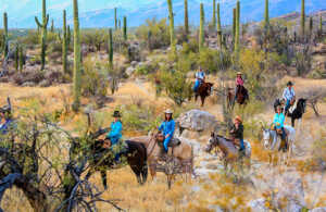 Embrace the spirit of the Wild West as you embark on a memorable horseback riding adventure through the picturesque landscapes of Tanque Verde Ranch in Tucson, where timeless traditions and natural beauty converge.